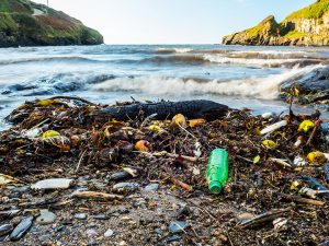 history of water pollution