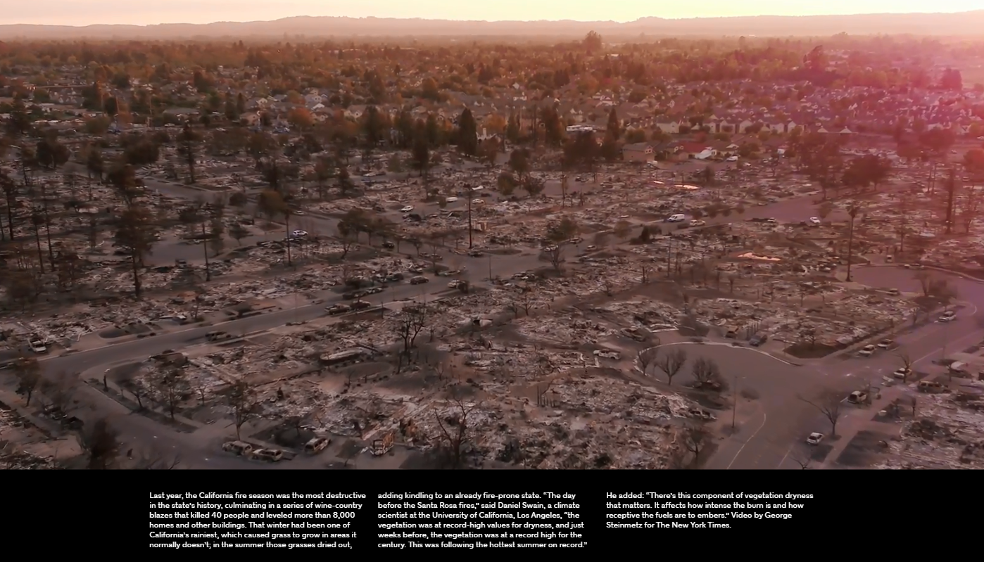 aftermath of the California fires