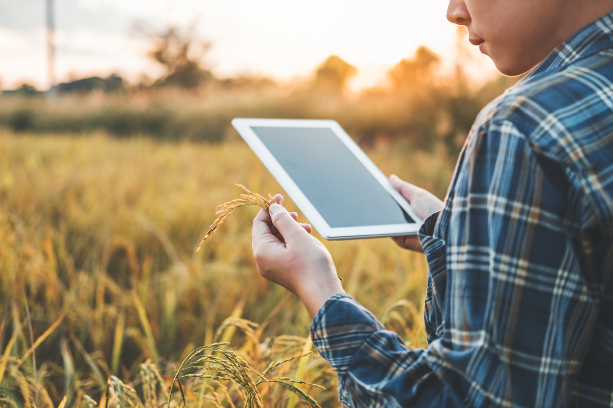 smart farming