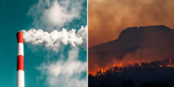 What are Dioxins? And Why Should We Care?