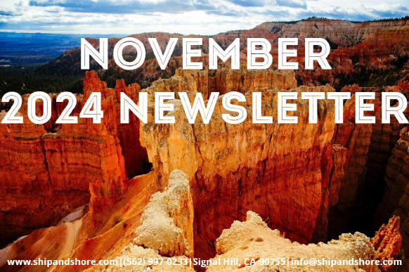 sse nov 2024 newsletter